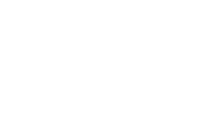Wealth Wave Logo